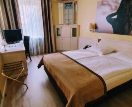 Двухместный номер Standard двуспальная кровать в Park Hotel Hamburg Arena