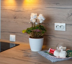 Апартаменты студия Rose ApartaMIA в Семейный уголок