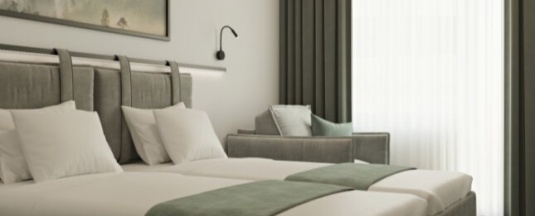 Двухместный номер Standard двуспальная кровать в Трубник