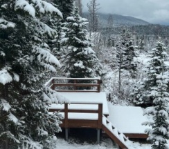 Зеленый Дом в Valenki