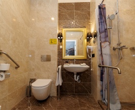 Стандарт для людей с ограниченными возможностями 5 в Волга Премиум