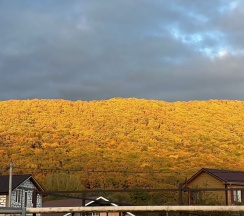 Дом в У реки