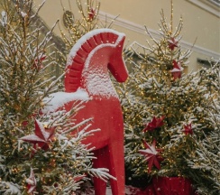 Мансардный люкс в Гимназия №5