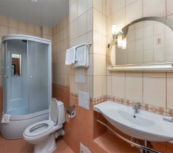 Комфорт /Comfort Double Room (двухкомнатный номер с одной двуспальной кроватью) в Воронеж