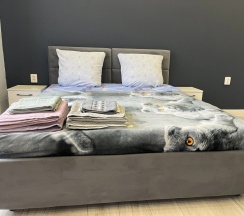 Студия в Апартаменты Ayshe Prestij Studio 6
