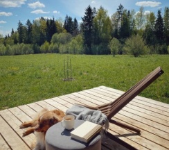 Коттедж Сканди в Родионова дача
