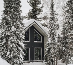 Needles Friends в Needles