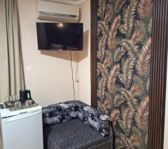 "ПАЛЬМА 6" Трехместный Комфортный номер с двуспальной кроватью одноместным диваном на 2 этаже в ГД "Цитрус" в Цитрус