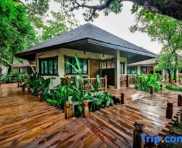 Двухместный номер Deluxe двуспальная кровать в Naiyang Park Resort