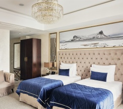 Делюкс с видом на город с двумя раздельными кроватями в Wawelberg Hotel St.Petersburg