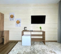 Стандартный двухместный номер в Снега