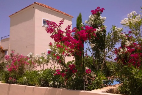 Камисиана: Отель Selini Suites