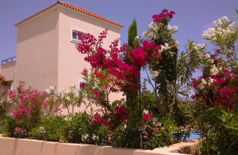 Греция, Камисиана: Отель Selini Suites