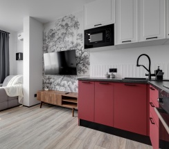 1-комнатные апартаменты студия Рэд в Dream Apartmens
