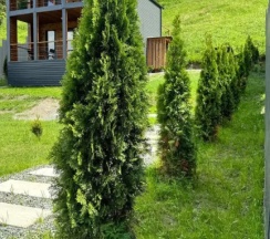 Семейный номер Superior с балконом в 15.15 House Fiagdon
