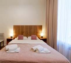 Двухместный номер с двуспальной кроватью и допместом в Светлый у Эрмитажа