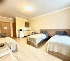 3-местный 1-комнатный номер стандарт комфорт в Малоярославец
