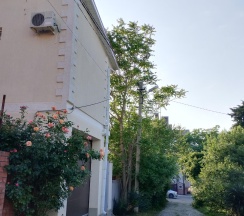 Номер улучшенный стандарт в Галиот