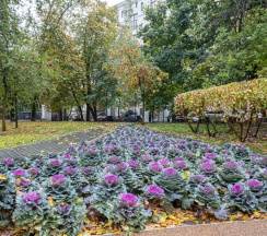 Квартира в Апартаменты на Переулок Гусятников 9