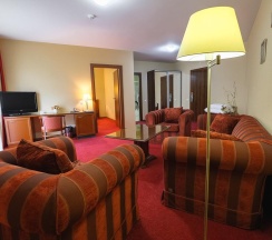 Номер люкс корпус Борвиха (с завтраком) в Борвиха hotel&SPA