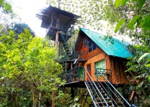 Семейный номер Standard в Khao Sok Tree House