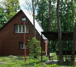 Коттедж с сауной в Алмазы