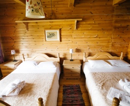 Стандарт с видом на озеро с 2 односпальными кроватями в Телецкие терема