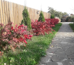 Семейные апартаменты с красивым видом из окна в Суздальский Дворик