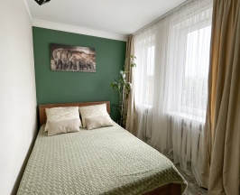 Двухместный номер Deluxe с одной двуспальной кроватью в Art hostel