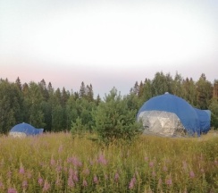 Сфера СИСУ в Папоротник