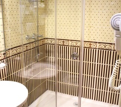 Одноместный номер SUPERIOR в O`Hara