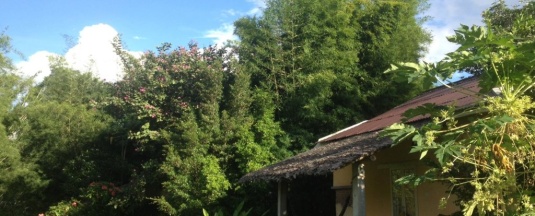Двухместный коттедж 2 отдельные кровати в Kuad Khon Thoe Pai Cottage