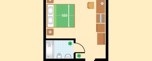 Стандарт DBL 102 в Парк-отель