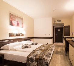 Двухместный номер Executive двуспальная кровать в Grami Hotel Sofia