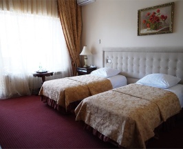 Полулюкс с раздельными кроватями в Александр