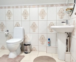 Студия в Беркут