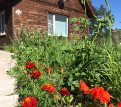 Гостевой дом Сосновый бор в Сосновый бор и Wood house