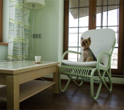 Двухместный номер с видом на Оку и собственным балконом в Гуляй-город