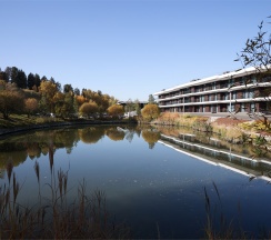 Однокомнатный двухместный номер в СберУниверситет