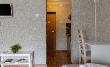 Двухместный однокомнатный номер "Стандарт" в мансарде в Panfilof