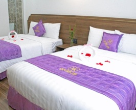 Двухместный номер Deluxe в Golden Inn Hotel