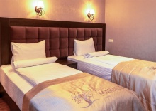 Comfort Twin River view в Hotel Villa MARALIS