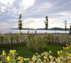 Апартаменты c 1 комнатой seafront в Alida Del Mar