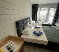 3-местная комната стандарт в Притяжение