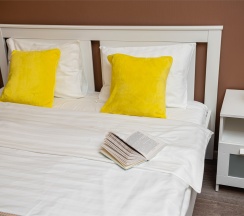 Двухместный номер Комфорт с 1 кроватью в Smart Hotel Kantemirovsky