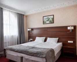 Двухместный стандарт в Европа