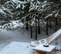 Норвегия в BamBoo Village