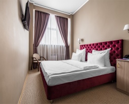 Эконом двухместный в Fortis Hotel