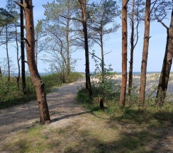 Коттедж улучшенный в Дом-сфера у моря