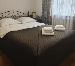 Номер стандарт с 1 двуспальной кроватью в Гостевой дом